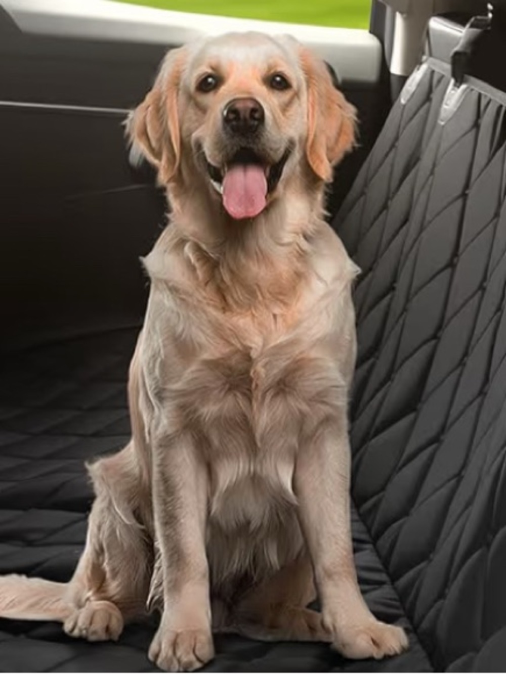NEW IN BOX- Peticon Pet Car 
Back Seat waterproof  Protector Mat in Black.